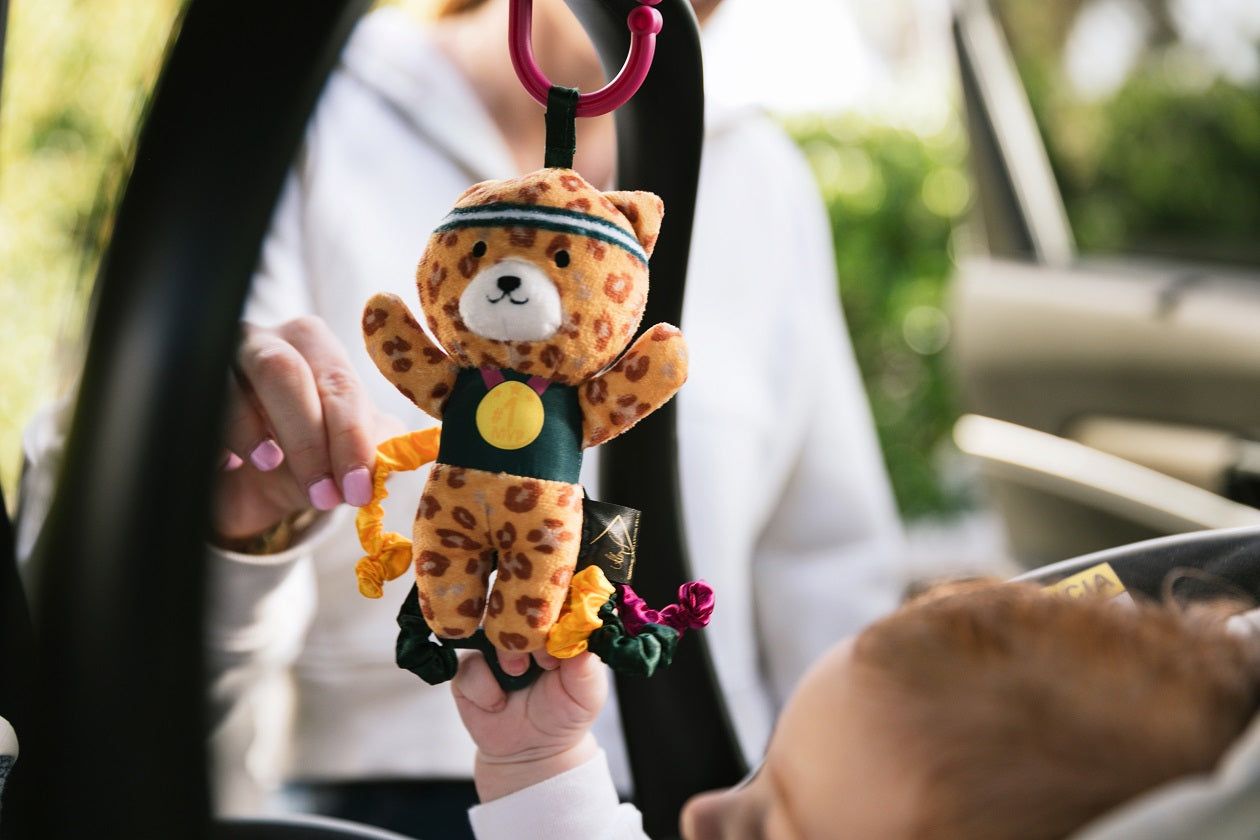 Activity Stroller Toy