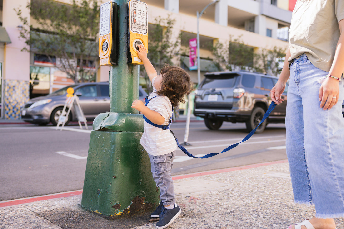 Safety Harness + Leash