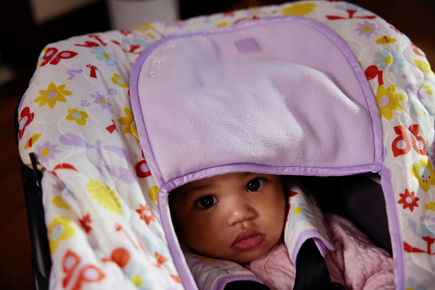 Winter Carrier Cover