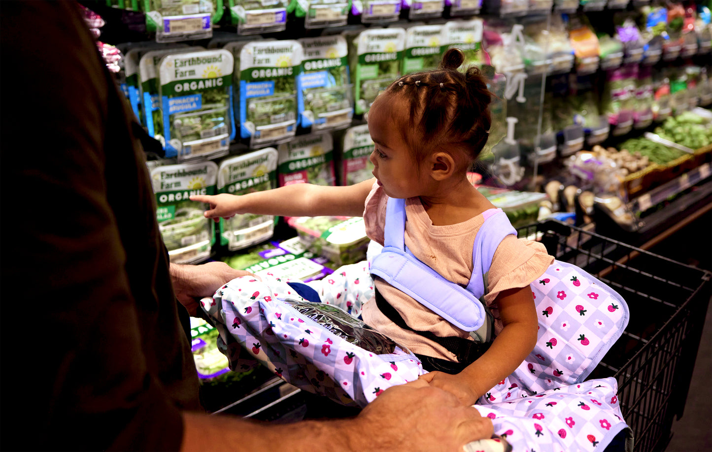 Deluxe Shopping Cart Cover